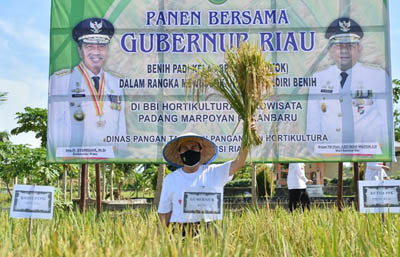  Riau Masih Menduduki Peringkat ke-1 Provinsi dengan NTP Tertinggi